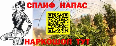 гашик Коммунар