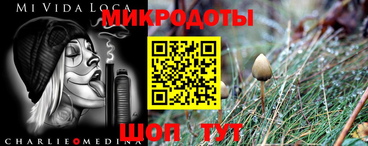 Псилоцибиновые грибы прущие грибы  Вход с VPN  Галлюциногенные грибы прущие грибы  Крымск 